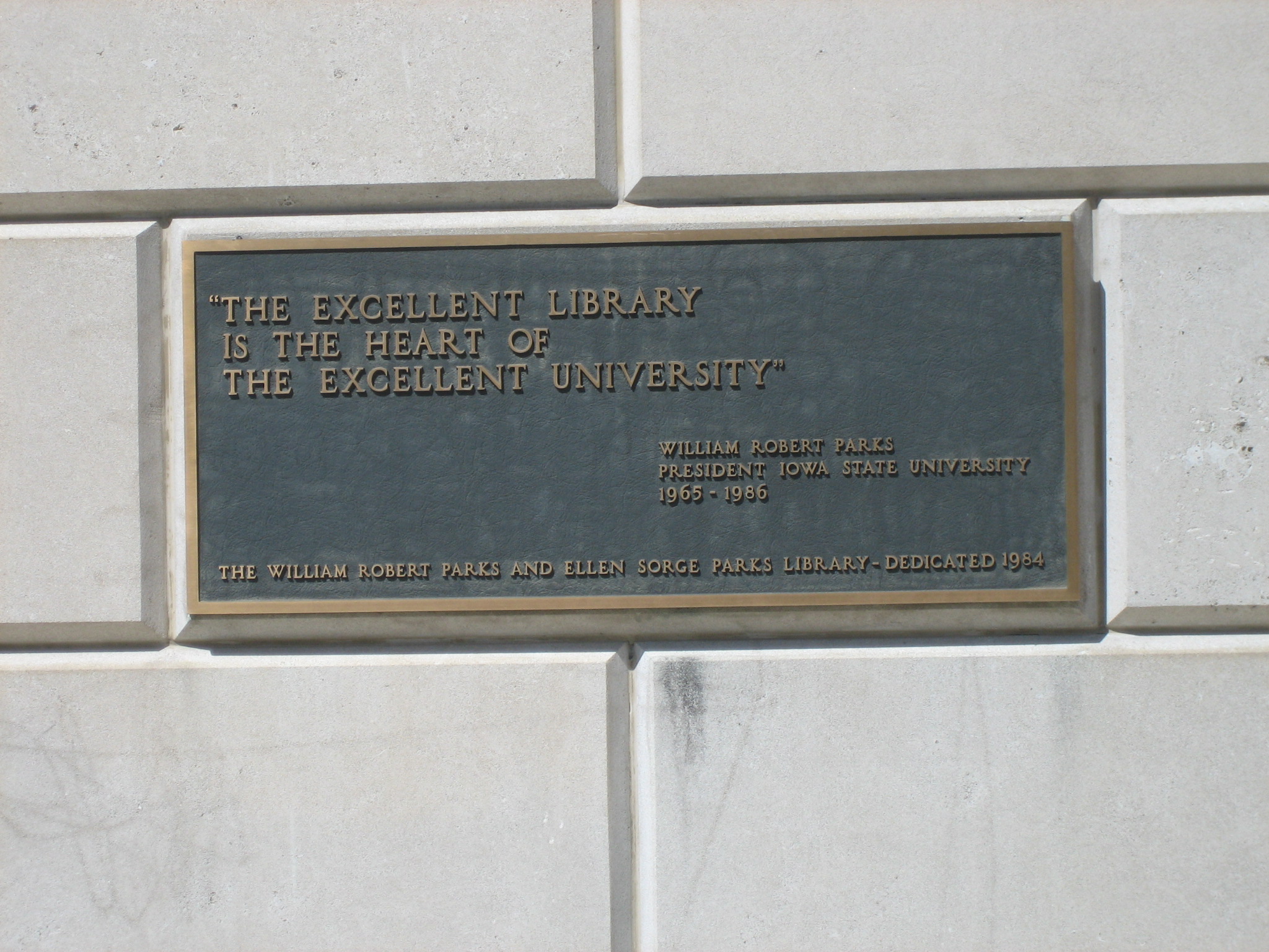 closeup photo